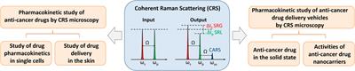 Coherent Raman Scattering Microscopy in Oncology Pharmacokinetic Research